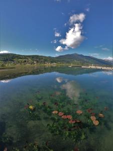 Guest House Blue Views