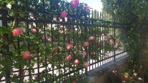 Appartamento Modenese 8