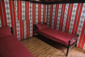 Desert Rose Camp