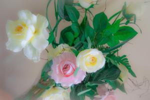 no 4 Cnoc Na Si Dublin Road