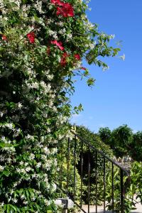 B&B / Chambres d'hotes Bastide des Demoiselles : photos des chambres