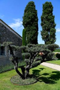 B&B / Chambres d'hotes Bastide des Demoiselles : photos des chambres