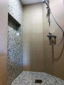 Apartments Artemus Karliva