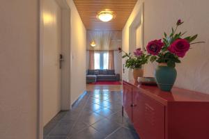 Swiss Mountains Apartments