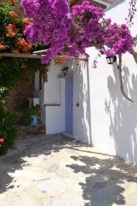 Ioanna Studios Tinos Greece