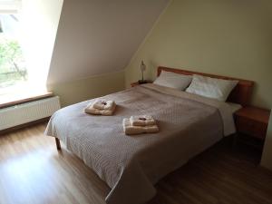 Family apartment