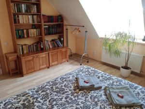 Family apartment