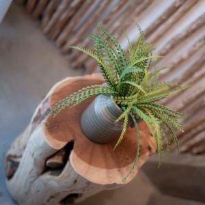 Harbour Suites Fethiye