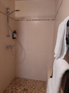 Panda Parc Appartment proche Pairi Daiza-Shape-Nato