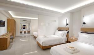 Petinos Hotel Myconos Greece