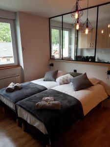 Appartements studio 26 m2 tout equipe : photos des chambres