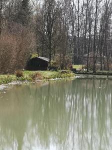 Ferienwohnung Alte Linde
