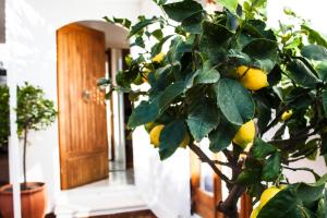 Taonasi Taormina Apartments