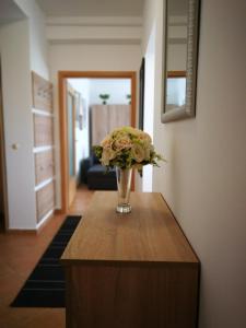 Vörösmarty Apartman Miskolc - Belváros - downtown