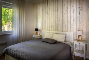 Apartamenty Pluszne