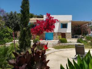 Lemon Tree Cottage Messinia Greece