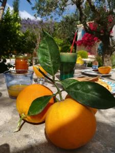 Lemon Tree Cottage Messinia Greece