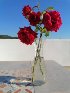 Lemon Tree Cottage Messinia Greece