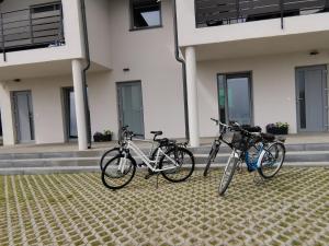 Domki apartamentowe Furtka do lasu