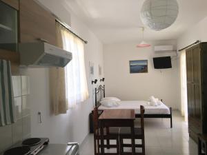 Camelia Studios Lefkada Greece