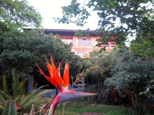 Knysna Log Home - Brenton on Lake