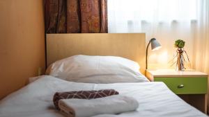 Standard Twin Room room in Hotel and Park Divoká Voda