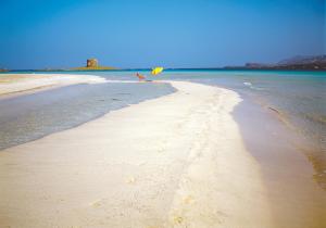 Villetta La Ginestra img45