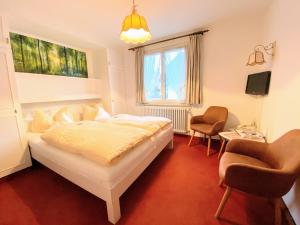 Small Double Room room in Hotel Zartenbach B&B