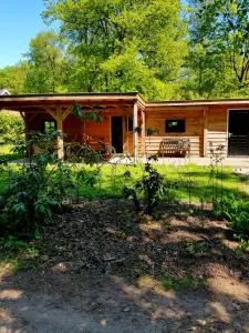 Boshut C43 - Oud-Ootmarsum