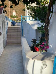 Patmos Villas Patmos Greece