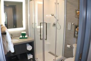 Deluxe King Room - Non-Smoking room in Hotel Indigo - St. Louis - Downtown an IHG Hotel