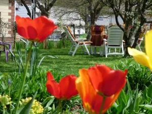 Ferienwohnung Dasch, bei Idar-Oberstein im Nationalpark Hunsrück-Hochwald - Siesbach