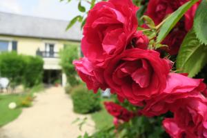 Maisons d'hotes La Naomath - Maison d'hotes, Hebergement insolite & Gite : Chambre Familiale - Vue sur Jardin