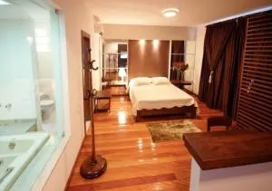 Ubaense Plaza Hotel - 维索萨