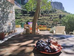 B&B Taccu Maccu img4