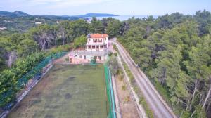 The Pine Tree House Alonissos Greece