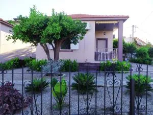 Nymphes - 塞利亚尼蒂卡