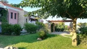 Nautilos - Gomátion