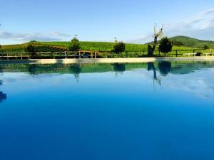 Il casale degli olivi