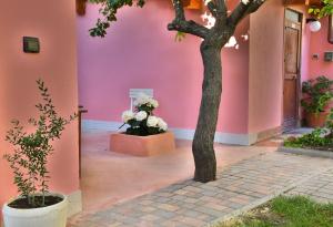 Flowery Inn Villa