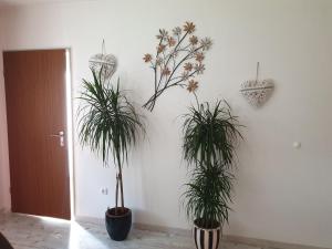 Ana‘s Ferienwohnung