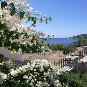 Seafront Studio with direct beach access Messinia Greece