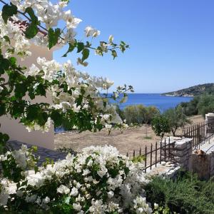 Seafront Studio with direct beach access Messinia Greece