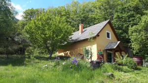 Cottage by the woods
