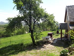 Cottage by the woods