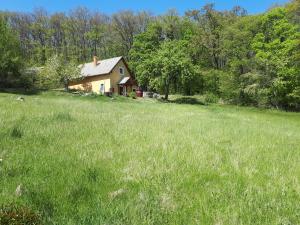 Cottage by the woods