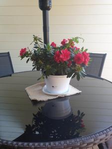 Centr Majori Home Apartament