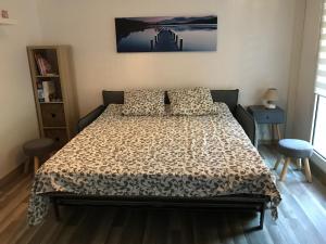 Appartements Studio au coeur de Theoule : photos des chambres