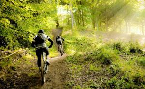 Gîte Les Grenouilles