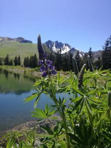 Ferienhaus Oberhuben